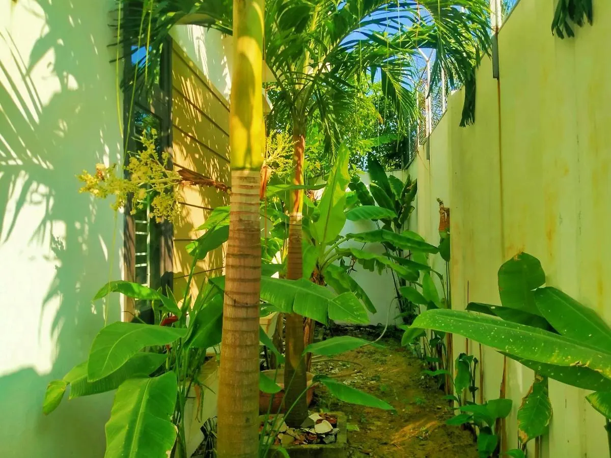 Almond Villa Hoi An Vietnam